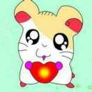 乖囡囡的个人资料头像