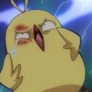 我是弱鸡不练出腹肌的个人资料头像