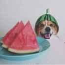 Al在掘金59015的个人资料头像