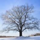 风爱学习59065的个人资料头像