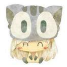 Soulney的个人资料头像