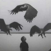 neverjust的个人资料头像