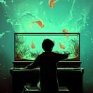 LumiereXyloto的个人资料头像