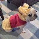 你逼着我犯罪了的个人资料头像