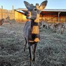 Joker重名了59189的个人资料头像