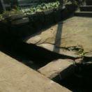 南徒切切的个人资料头像