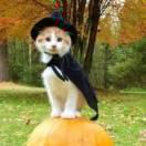 Aaron就是我59233的个人资料头像