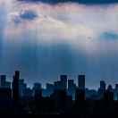 wynn59265的个人资料头像