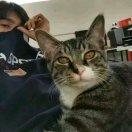 理想三旬同志59286的个人资料头像