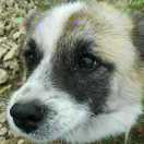 str本尊的个人资料头像