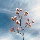 东东好帅啊的个人资料头像