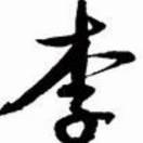 nothingtolose的个人资料头像