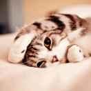 jnn爱学习的个人资料头像