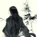 追梦人君59335的个人资料头像