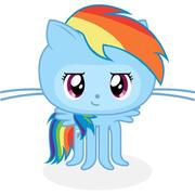 csshawn的个人资料头像