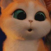 一飞天鹰的个人资料头像