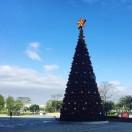 Jexxie就是我的个人资料头像