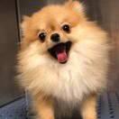 冷静的周先森的个人资料头像