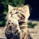 Echo重名了59482的个人资料头像