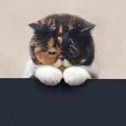 ocean3516的个人资料头像