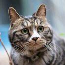 北纬30的个人资料头像