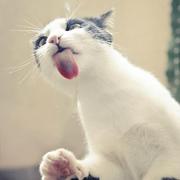 HSH2017的个人资料头像