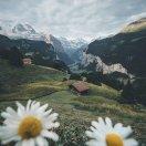 游龙戏凤的个人资料头像