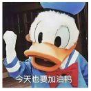 oneroot群秘的个人资料头像