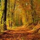 逍同志的个人资料头像