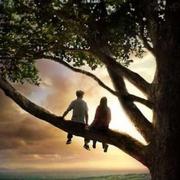 helloworldcoding的个人资料头像