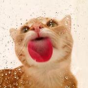 zuofoshou的个人资料头像