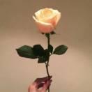 Snow同学59663的个人资料头像