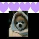 红叶重名了的个人资料头像