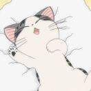 1024只猫的个人资料头像