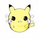 大米饼的个人资料头像