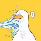 喵ow0呜的个人资料头像