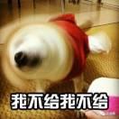 冲鸭的个人资料头像