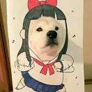 undefined的个人资料头像