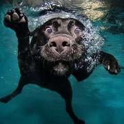 DomBro96的个人资料头像