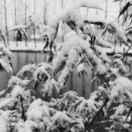 lb同志的个人资料头像