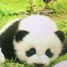 WWW在掘金59895的个人资料头像