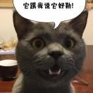 星辰爱学习59955的个人资料头像