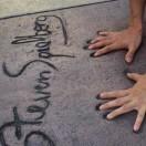 二白就是我59961的个人资料头像