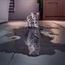 tmachc同志的个人资料头像