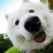 HuangGiGi的个人资料头像