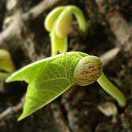 黄廉温的个人资料头像