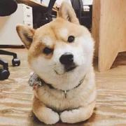 AlanPaul的个人资料头像