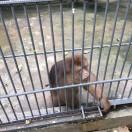 Acmen60038的个人资料头像