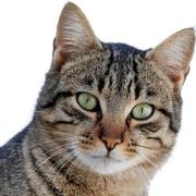 Edwin1122的个人资料头像