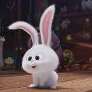 小巍君的个人资料头像